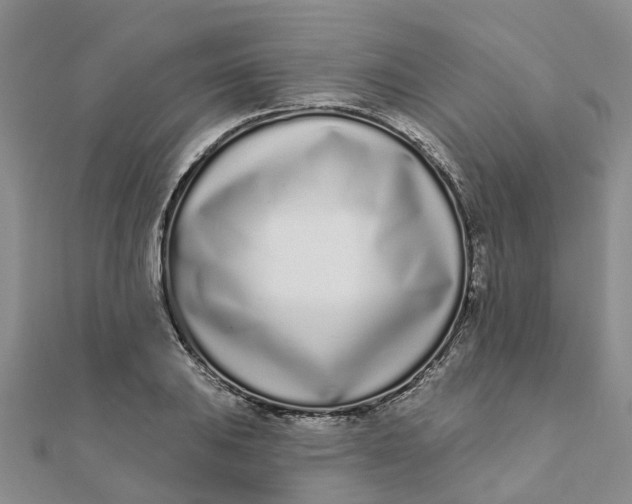 X0000111891031200908131650