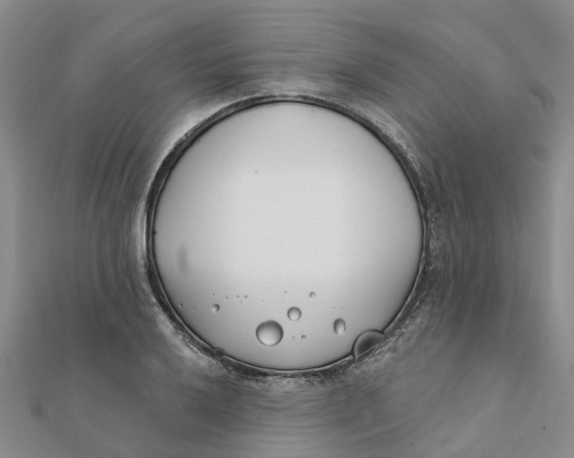 X0000111891032200908131650