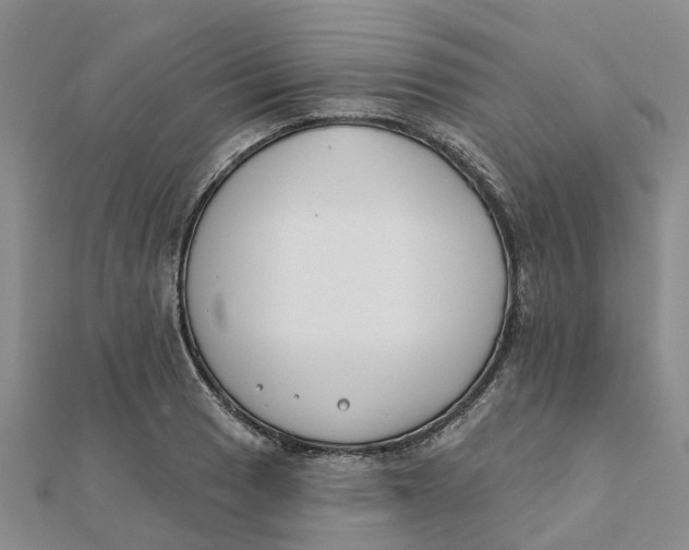 X0000111891033200908131650