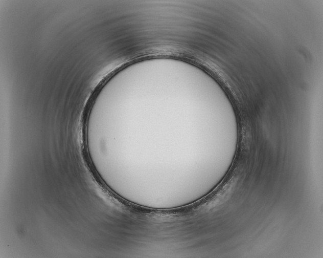 X0000111891034200908131650