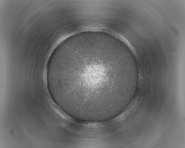 X0000111891035200908131650