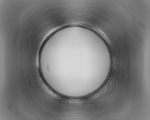 X0000111891036200908131650