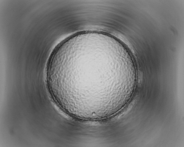 X0000111891037200908131650