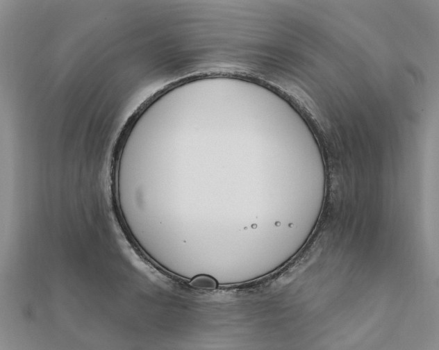 X0000111891038200908131650