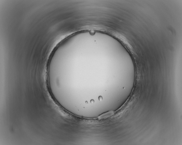 X0000111891040200908131650