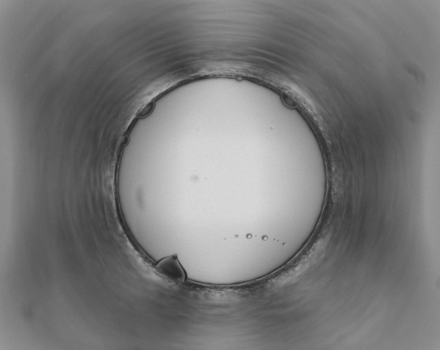 X0000111891041200908131650