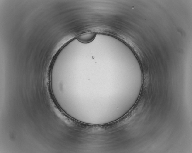 X0000111891042200908131650