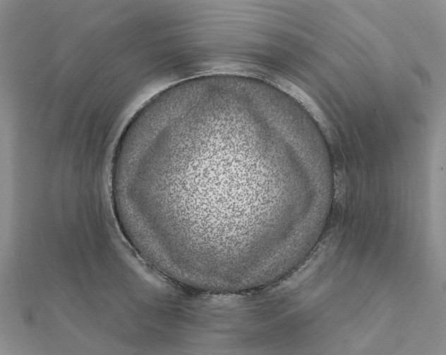 X0000111891043200908131650