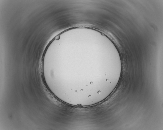 X0000111891044200908131650