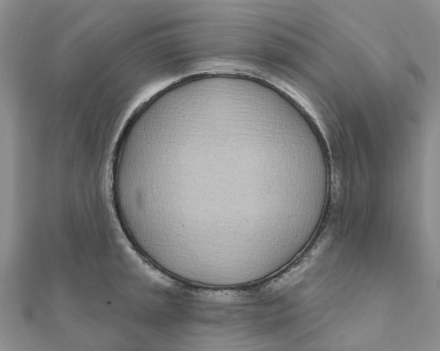 X0000111891045200908131650