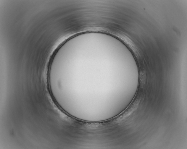 X0000111891046200908131650