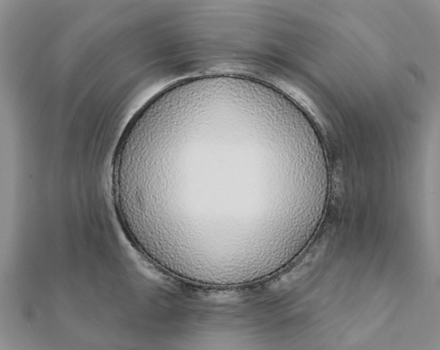 X0000111891047200908131650