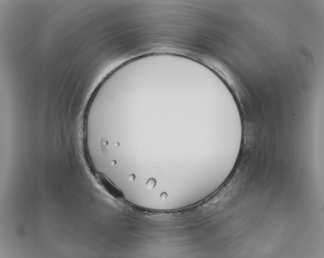 X0000111891048200908131650