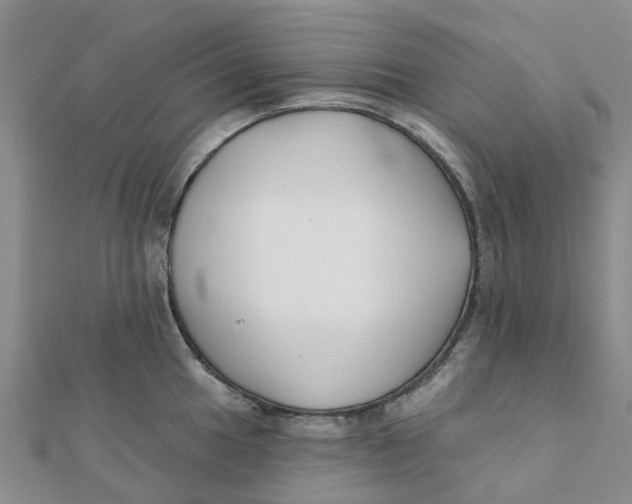 X0000111891049200908131650