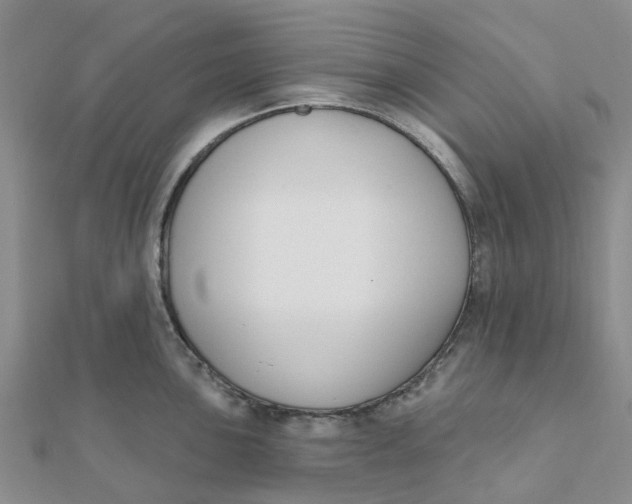 X0000111891051200908131650