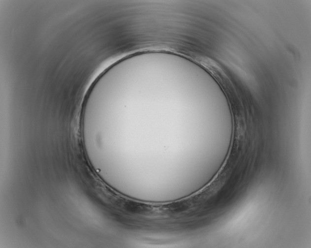 X0000111891052200908131650