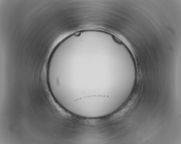 X0000111891053200908131650