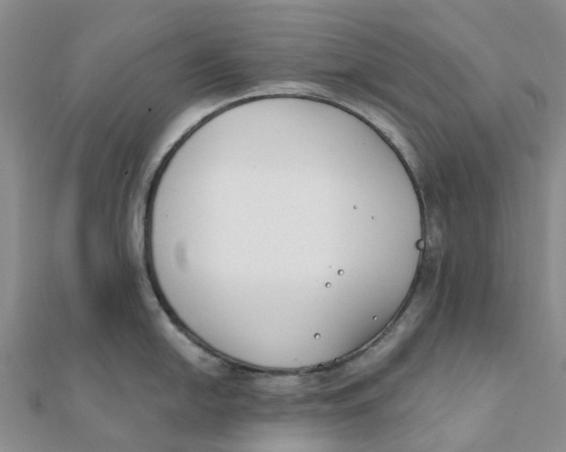 X0000111891054200908131650