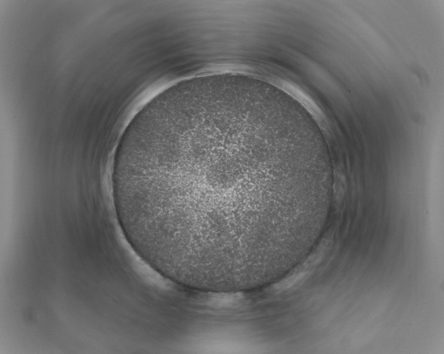 X0000111891055200908131650