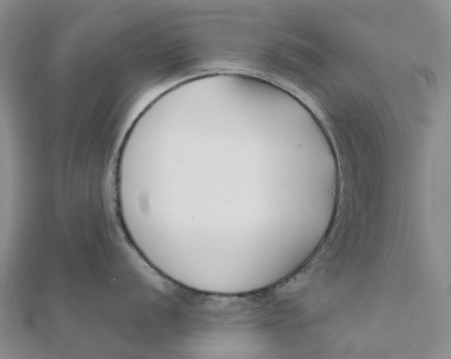 X0000111891056200908131650