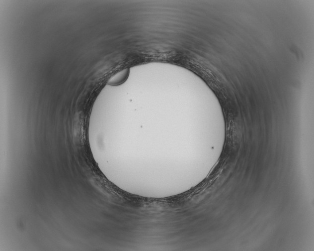 X0000111891058200908131650