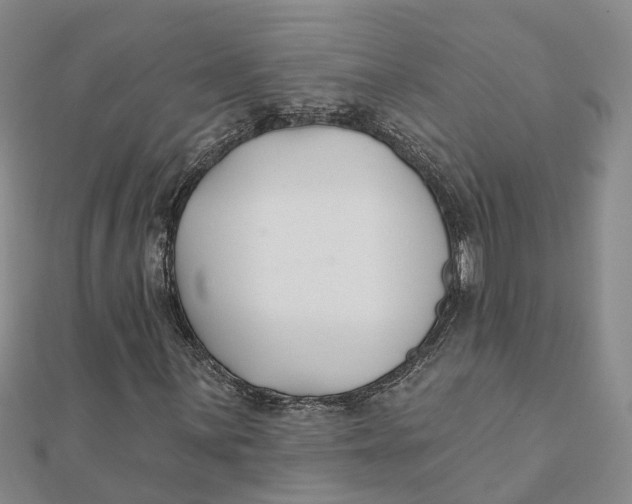 X0000111891059200908131650