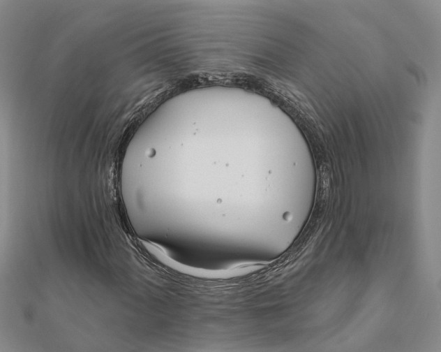 X0000111891060200908131650