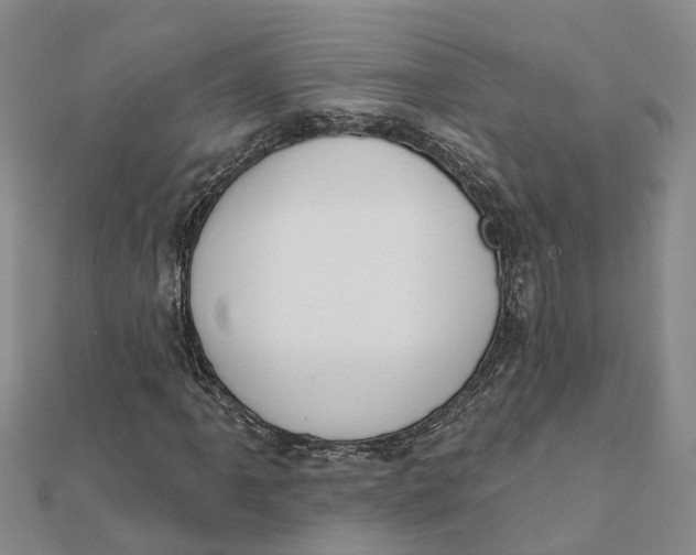 X0000111891061200908131650