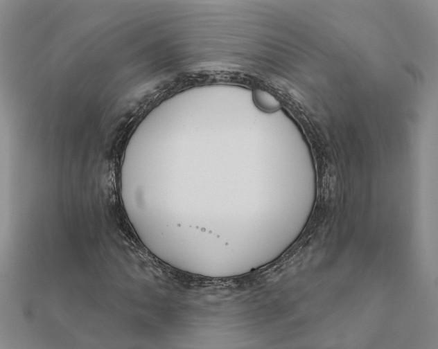 X0000111891062200908131649