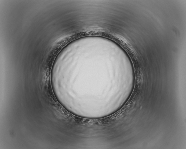 X0000111891063200908131649