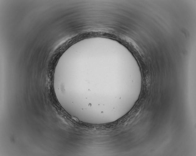 X0000111891064200908131649