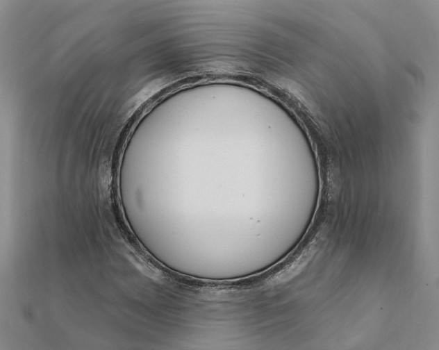 X0000111891065200908131649