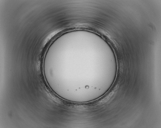 X0000111891066200908131649