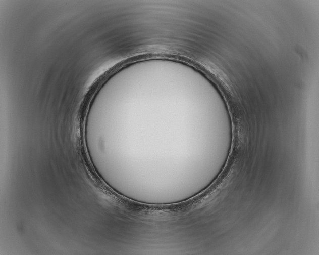 X0000111891070200908131649