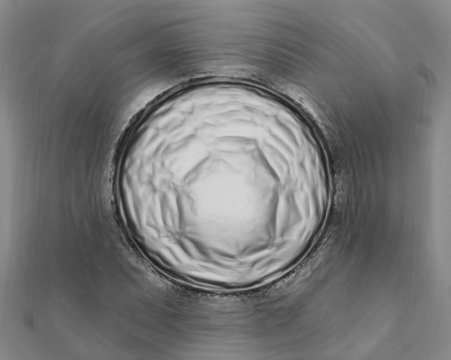 X0000111891071200908131649