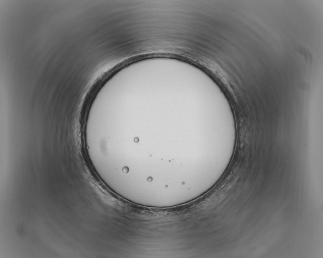 X0000111891072200908131649