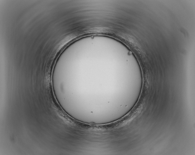 X0000111891073200908131649