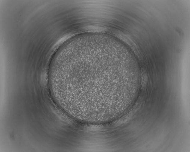 X0000111891074200908131649