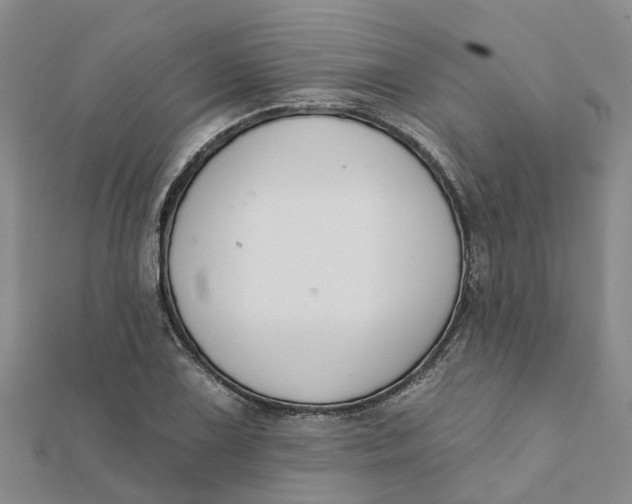 X0000111891075200908131649