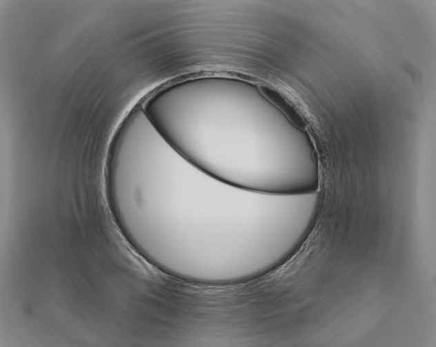 X0000111891076200908131649