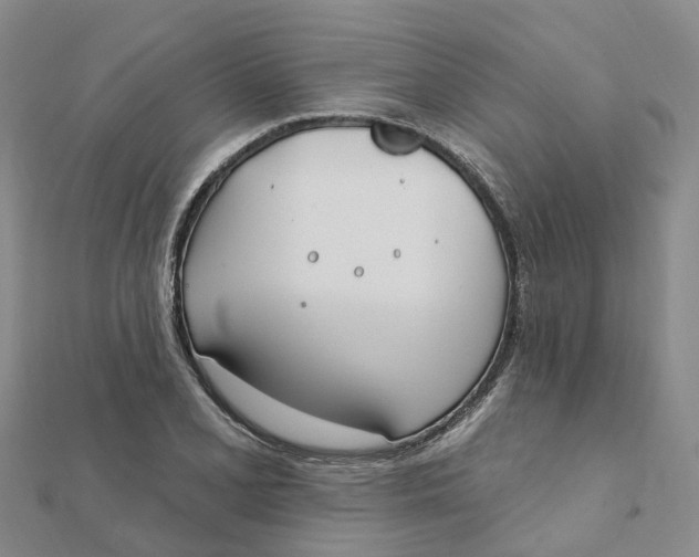 X0000111891077200908131649