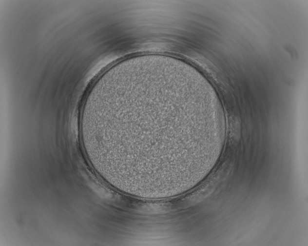 X0000111891078200908131649