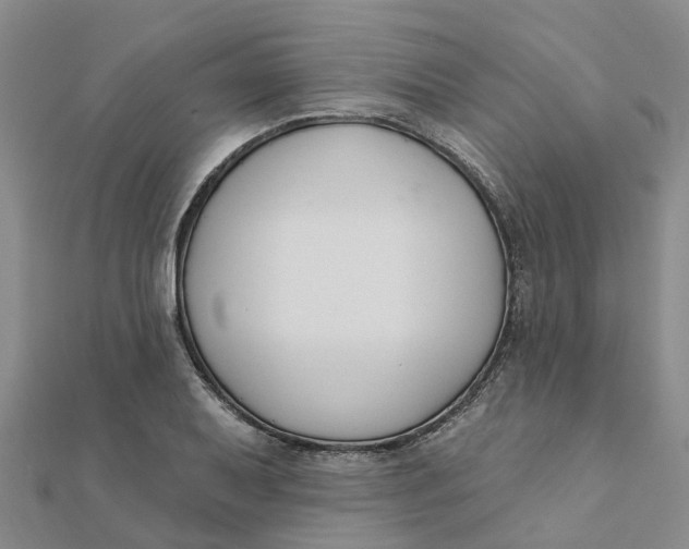 X0000111891079200908131649