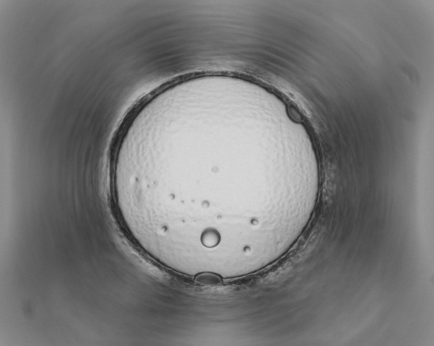 X0000111891080200908131649