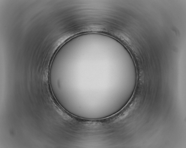 X0000111891081200908131649