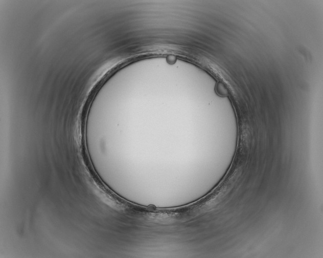 X0000111891082200908131649