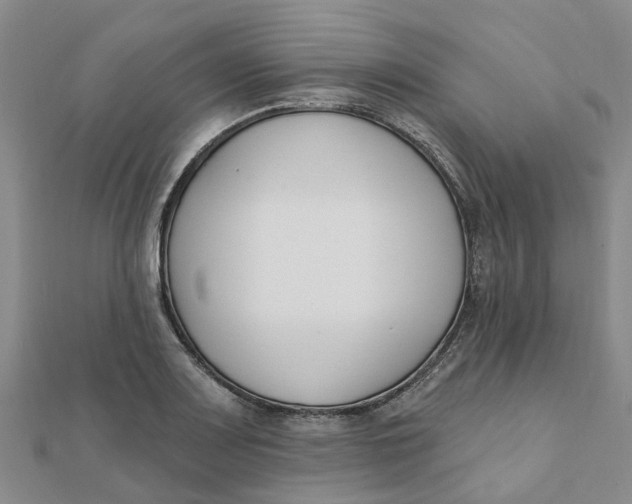 X0000111891083200908131649