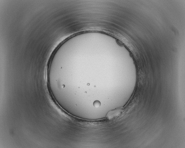 X0000111891084200908131649