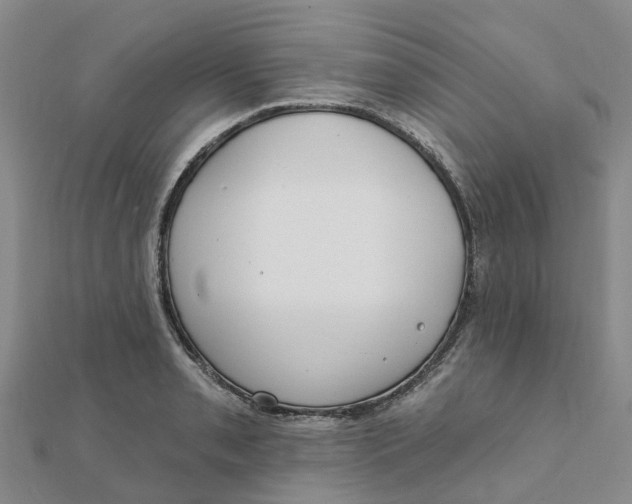 X0000111891085200908131649