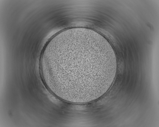 X0000111891086200908131649